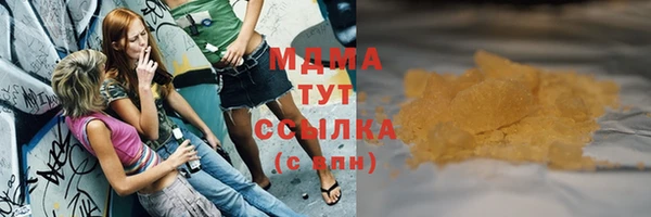 индика Аркадак