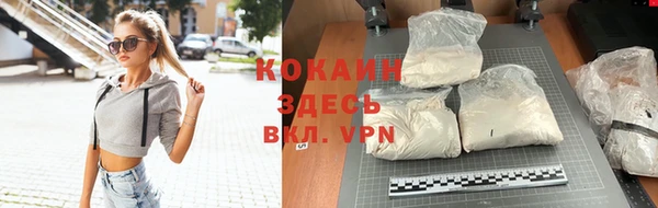 индика Аркадак