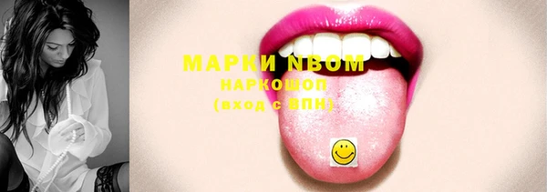 индика Аркадак