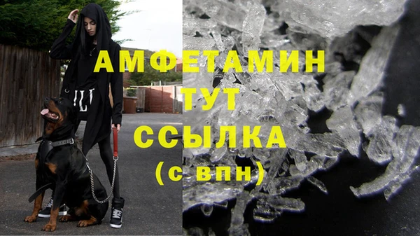 индика Аркадак
