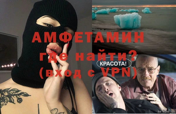 индика Аркадак