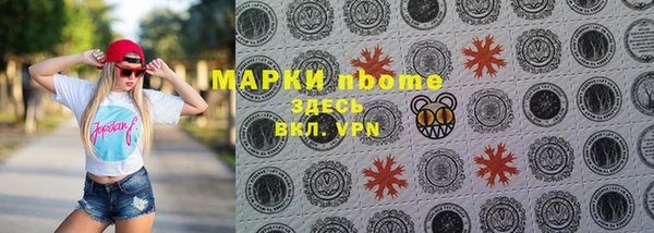 индика Аркадак