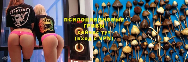 трава Арсеньев