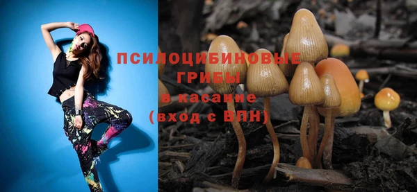 хмурый Армянск